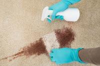 City Carpet Cleaning Parramatta image 8